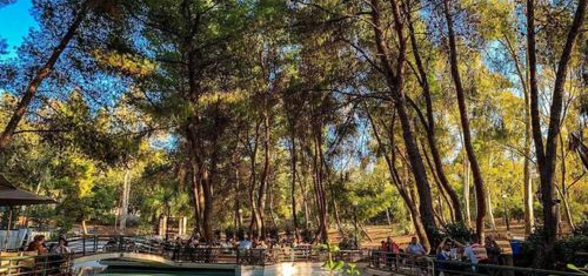 5 κήποι και αυλές για φαγητό στην Αθήνα -Εδώ έχει ακόμα καλοκαίρι